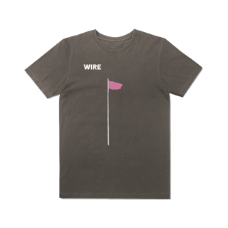 Nome do produto[Estonada] WIRE / PINK FLAG