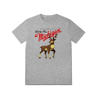 SUFJAN STEVENS / MICHIGAN