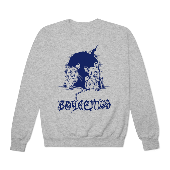 [Moletom Premium] BOYGENIUS / THE RECORD