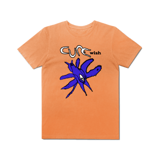 Nome do produto[Estonada] THE CURE / WISH
