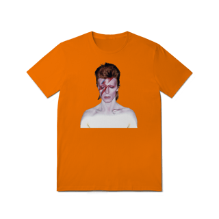 Nome do produtoDAVID BOWIE / ALLADIN SANE