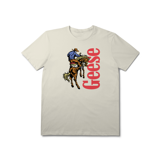 [Premium] GEESE / 3D COUNTRY