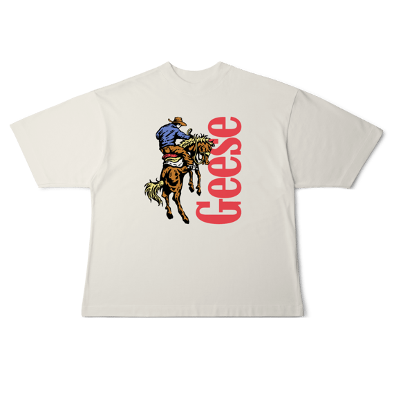 [Oversized] GEESE / 3D COUNTRY