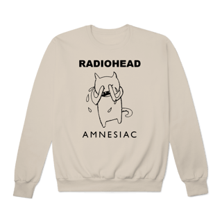 Nome do produto[Moletom Premium] RADIOHEAD / AMNESIAC
