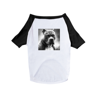 Nome do produto Roupa Pet Pitmonster