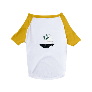 Nome do produtoDog Guiados 