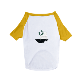 Nome do produto  Dog Guiados 