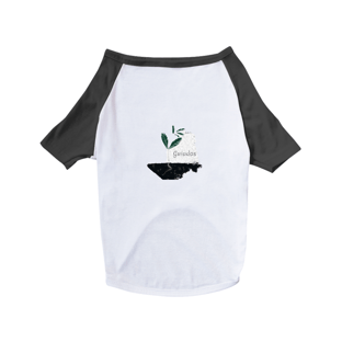 Nome do produtoDog Guiados 