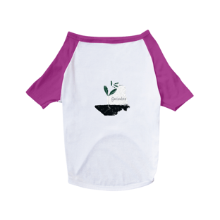 Nome do produtoDog Guiados 