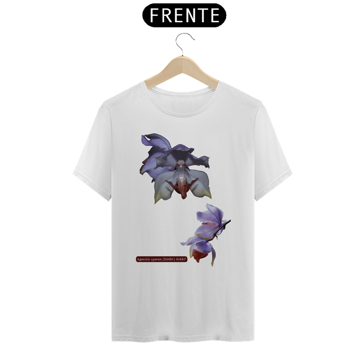 Nome do produto: Orquídeas Amazônicas Camisas - Aganisia cyanea (Schltr.) Rchb.f