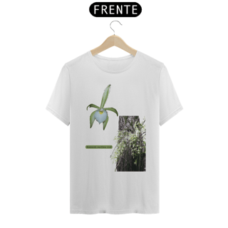 Nome do produto Orquídeas Amazônicas Camisas - Brassavola Martiana Lindl