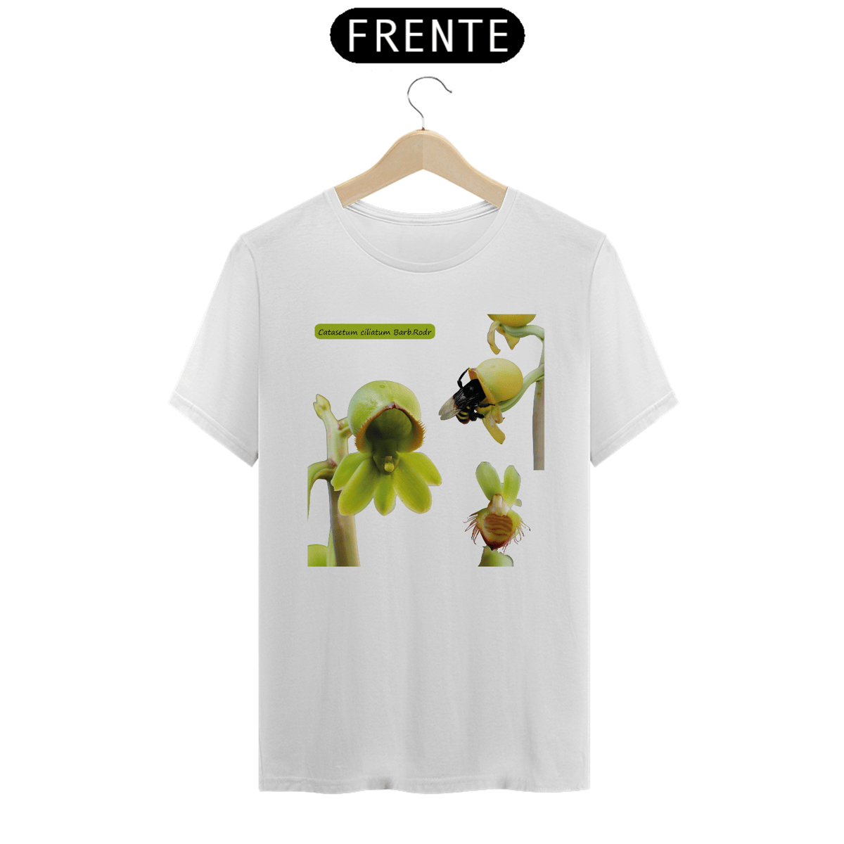 Nome do produto: Orquídeas Amazônicas Camisas - Catasetum ciliatum Barb.Rodr