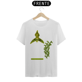 Nome do produto Orquídeas Amazônicas Camisas - Catasetum rivularium Barb.Rodr