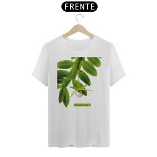 Nome do produto Orquídeas Amazônicas Camisas - Dichaea picta Rchb. f