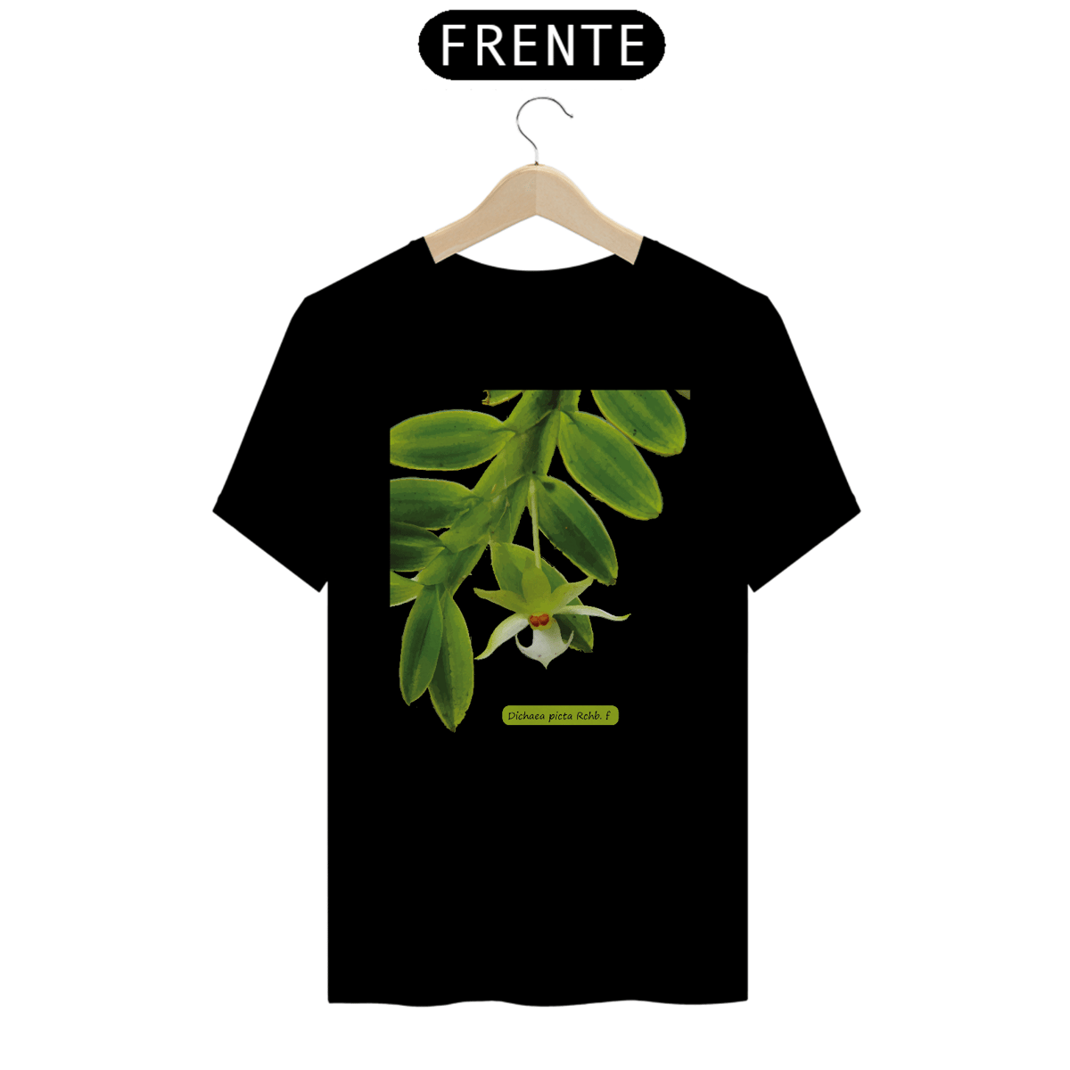 Nome do produto: Orquídeas Amazônicas Camisas - Dichaea picta Rchb. f