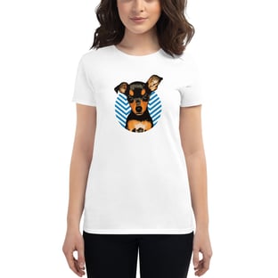Nome do produtoBABYLOOK PINSCHER BLUE