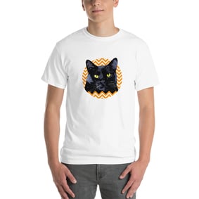 GATO PRETO ORANGE