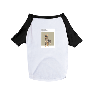 Roupinha de cachorro - Pinscher perfil