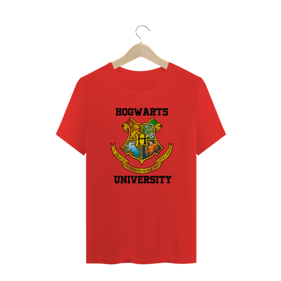 Hogwarts University