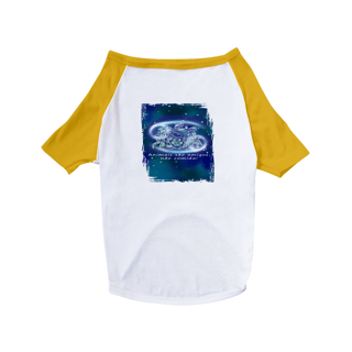 Nome do produto Camiseta para Pet | Câncer | Animais são amigos, não comida! | Color