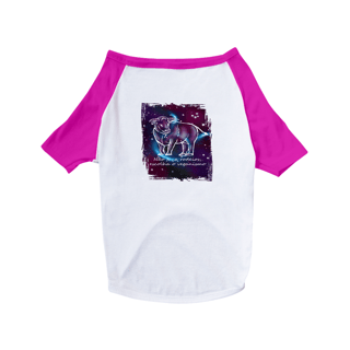 Nome do produto Camiseta para Pet | Touro | Não faça rodeios, escolha o veganismo | Color