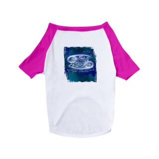 Nome do produto Camiseta para Pet | Câncer | Animais são amigos, não comida! | Color