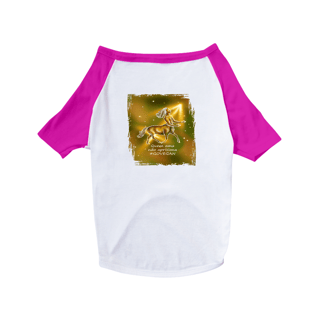 Nome do produto Camiseta para Pet | Sagitário | Quem ama não aprisiona #govegan | Color