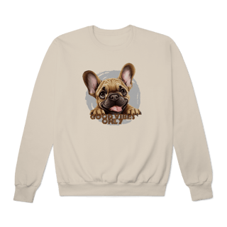 Nome do produtoMoletom Fechado Good Vibes au01