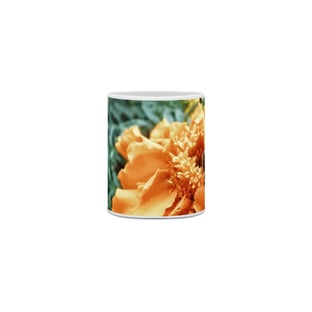 Nome do produtoCANECA ABELHA MEL