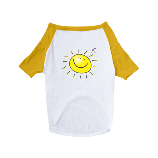 Nome do produtoRoupa para Pet - Sol