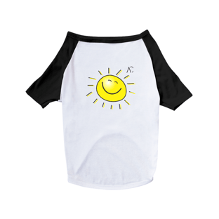 Nome do produtoRoupa para Pet - Sol