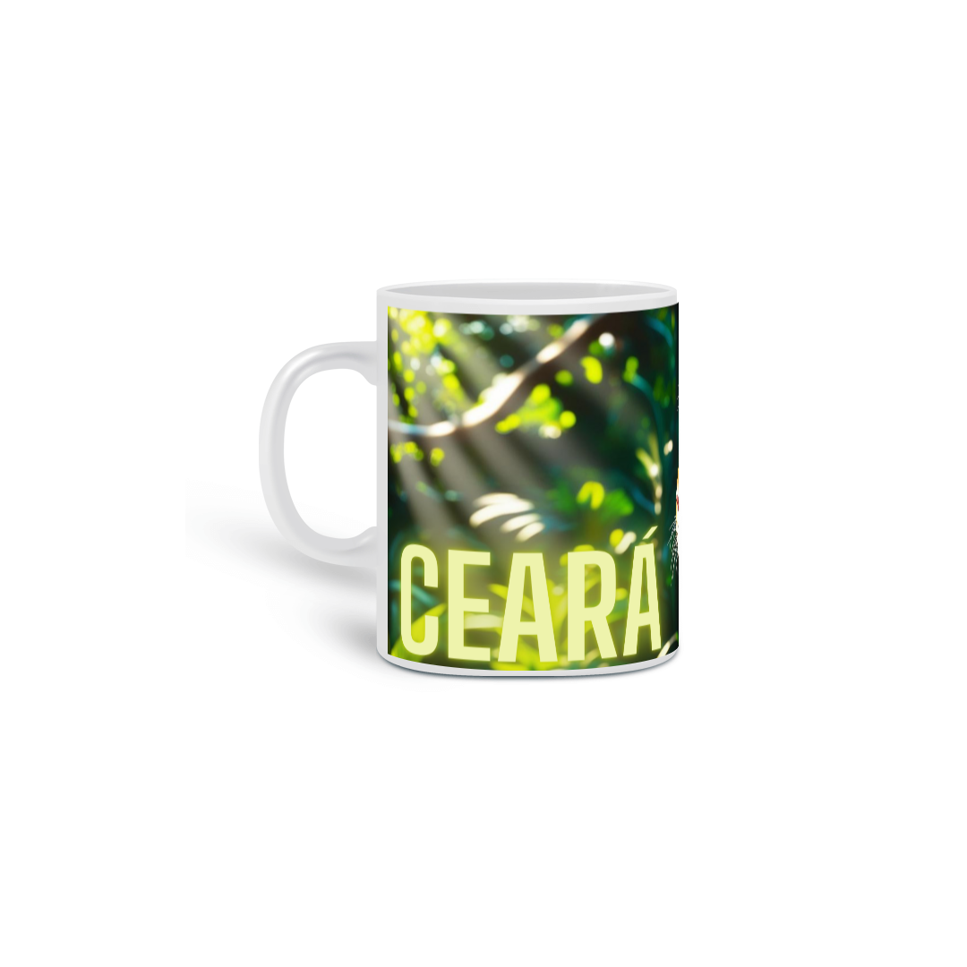 Nome do produto: Onça pintada