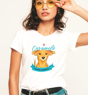 Nome do produtoCamiseta Feminina Vira-lata Caramelo Mister Simpatia