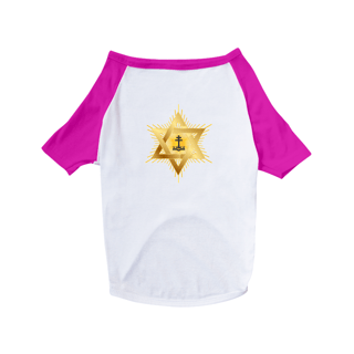 Nome do produto Roupa para Cachorro Estrela e Santo cruzeiro