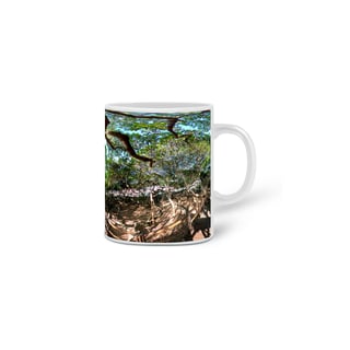 Nome do produto Pirangi do Norte - RN - Maior Cajueiro do Mundo