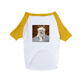 Nome do produto Roupa Pet Amo meu pet 2