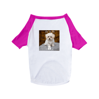 Nome do produto Roupa Pet Amo meu pet 2