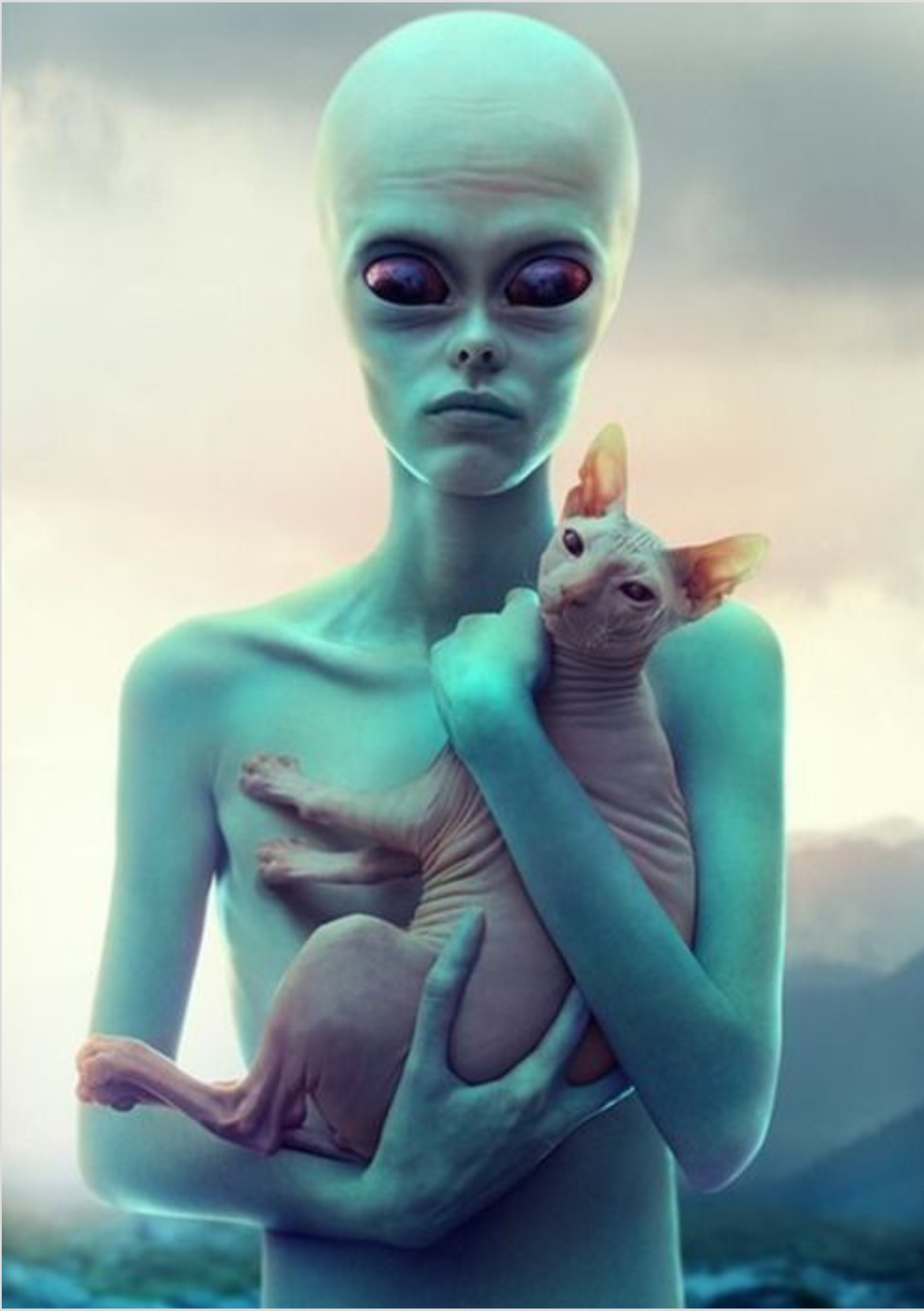 Poster - Alien & Gato