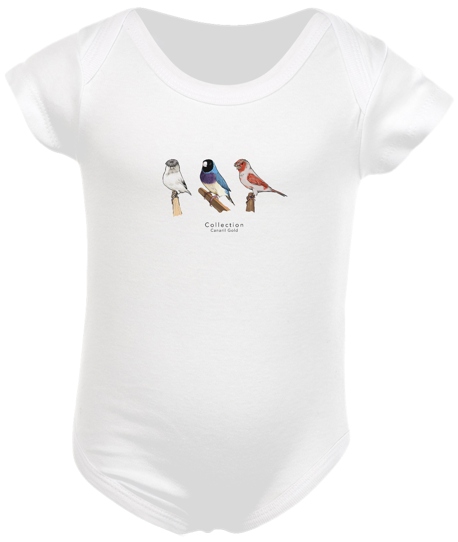 Body Bebê Aves Diversas - Triplo 