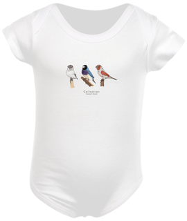 Body Bebê Aves Diversas - Triplo 