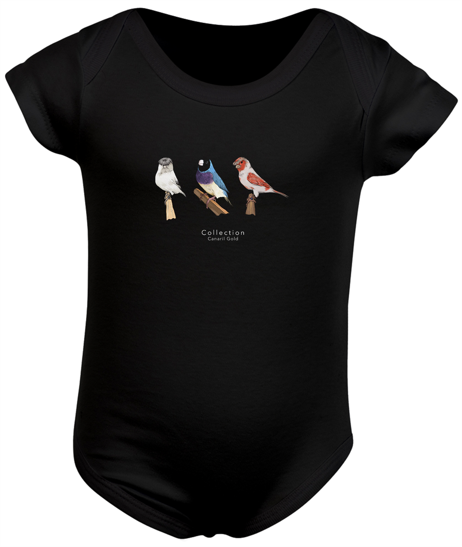 Body Bebê Aves Diversas - Triplo 