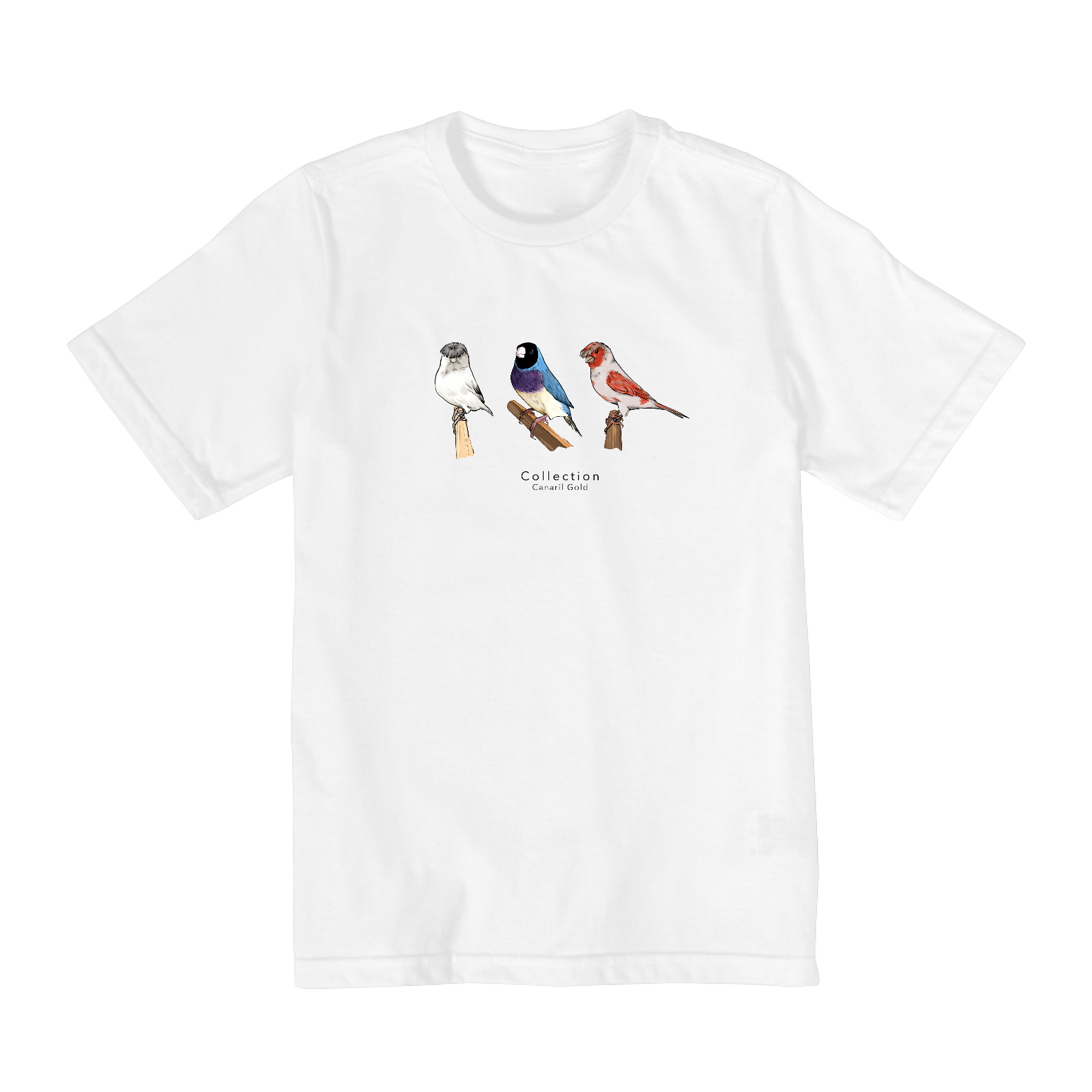 Tshirt Infantil Aves Diversas - Triplo