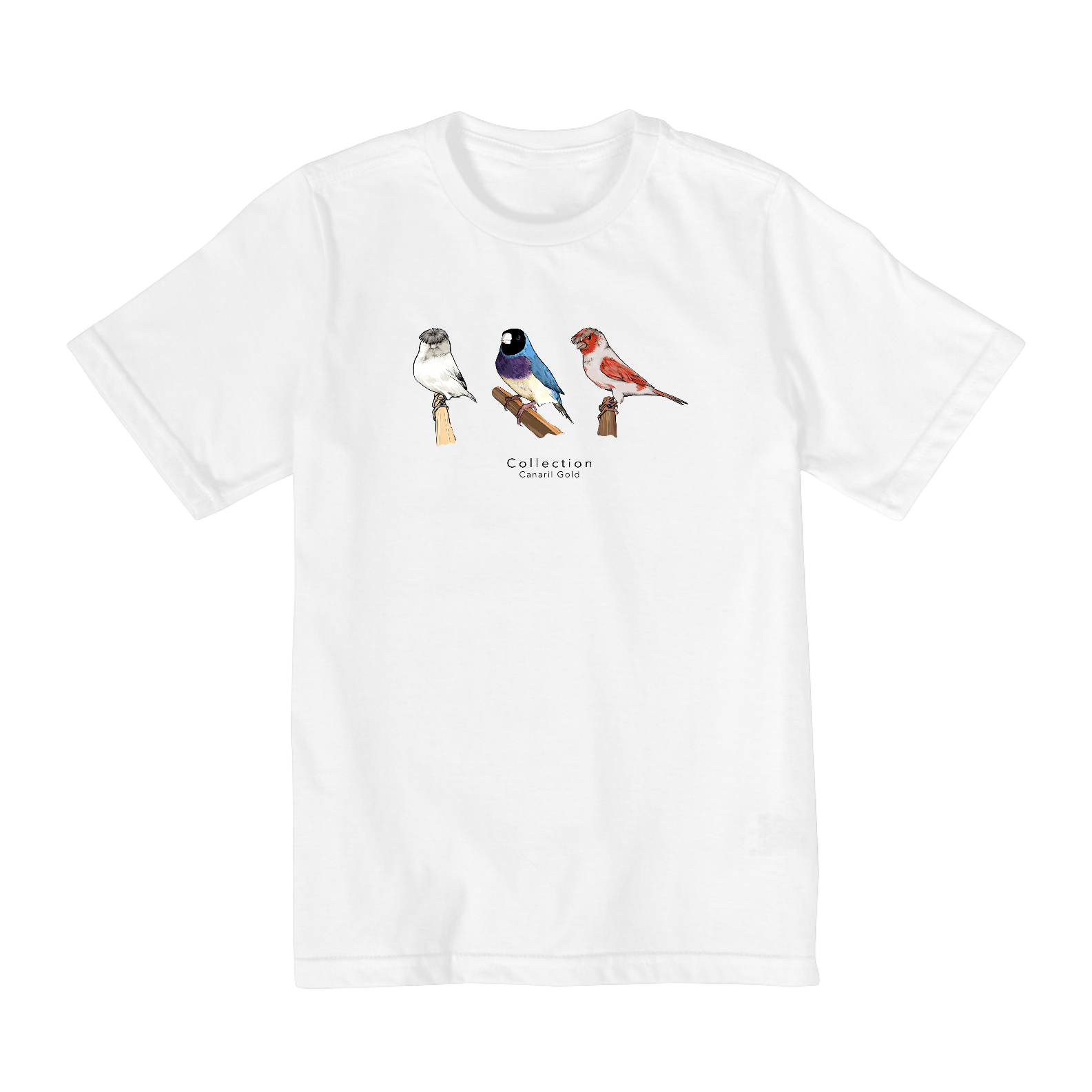 Tshirt Juvenil Aves Diversas - Triplo