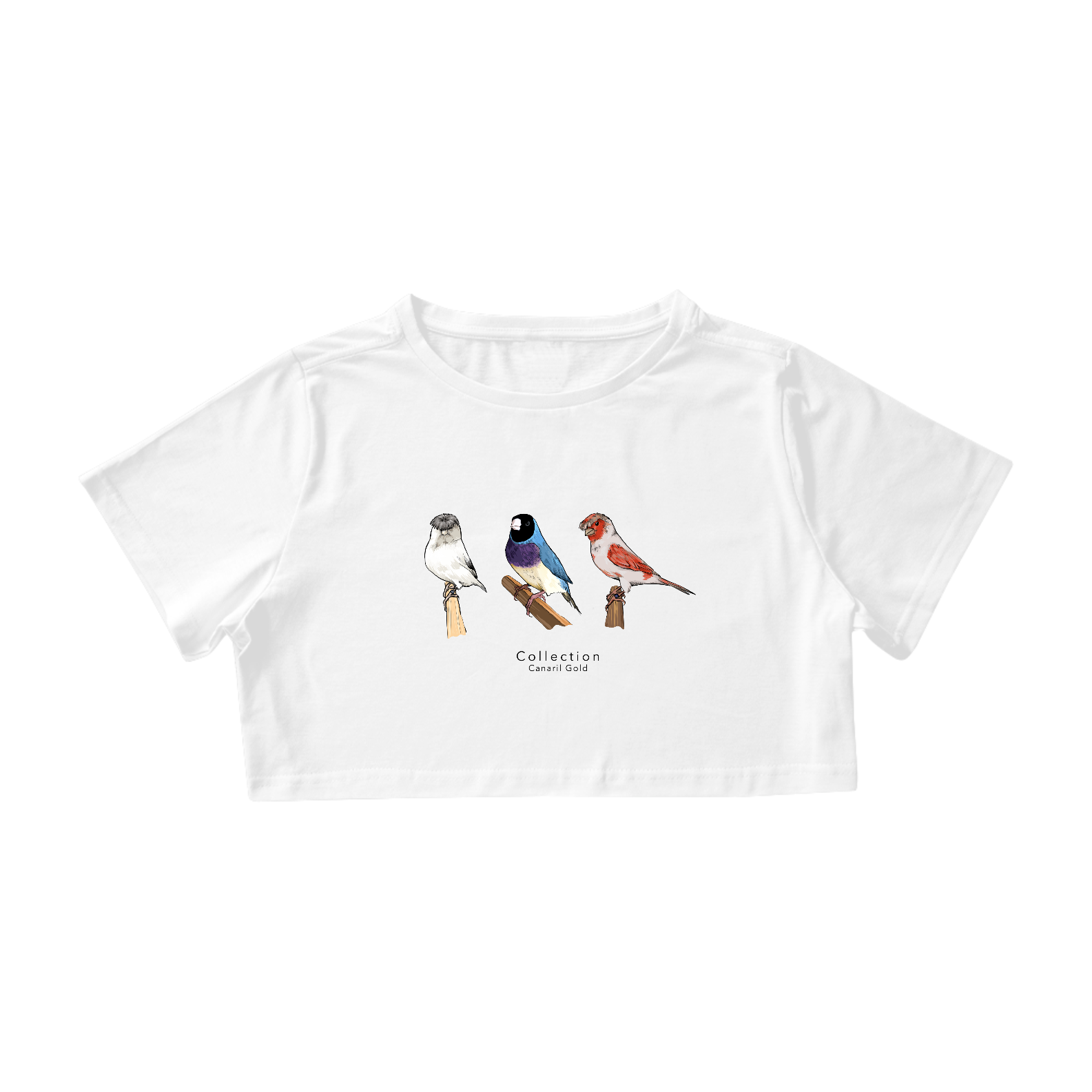 Cropped - Aves Diversas