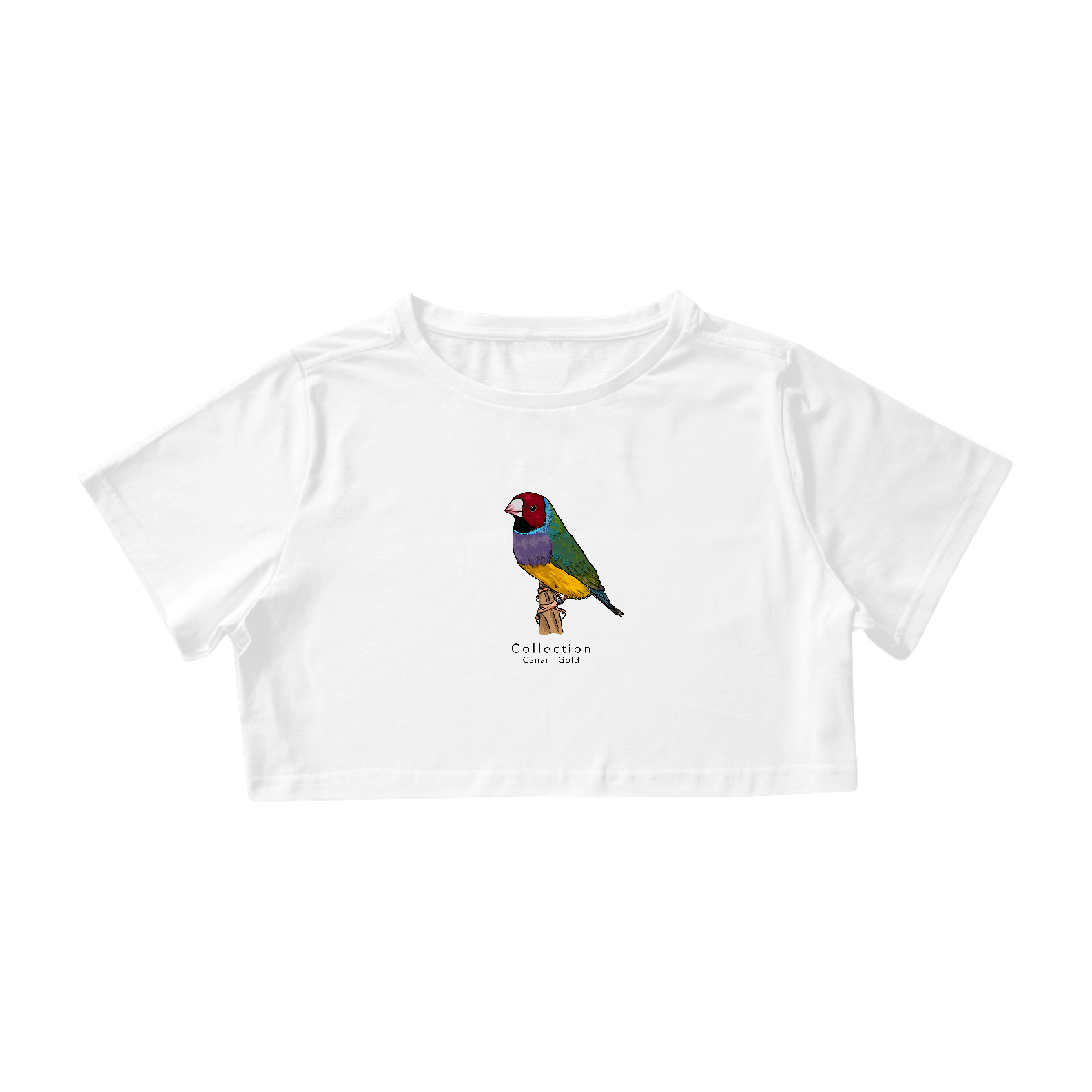 Cropped - Diamante Gould CV/PR