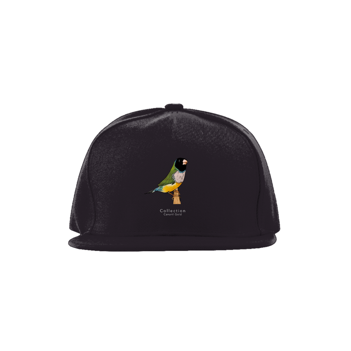 Nome do produto: Boné Diamante Gould Verde CP/PB 