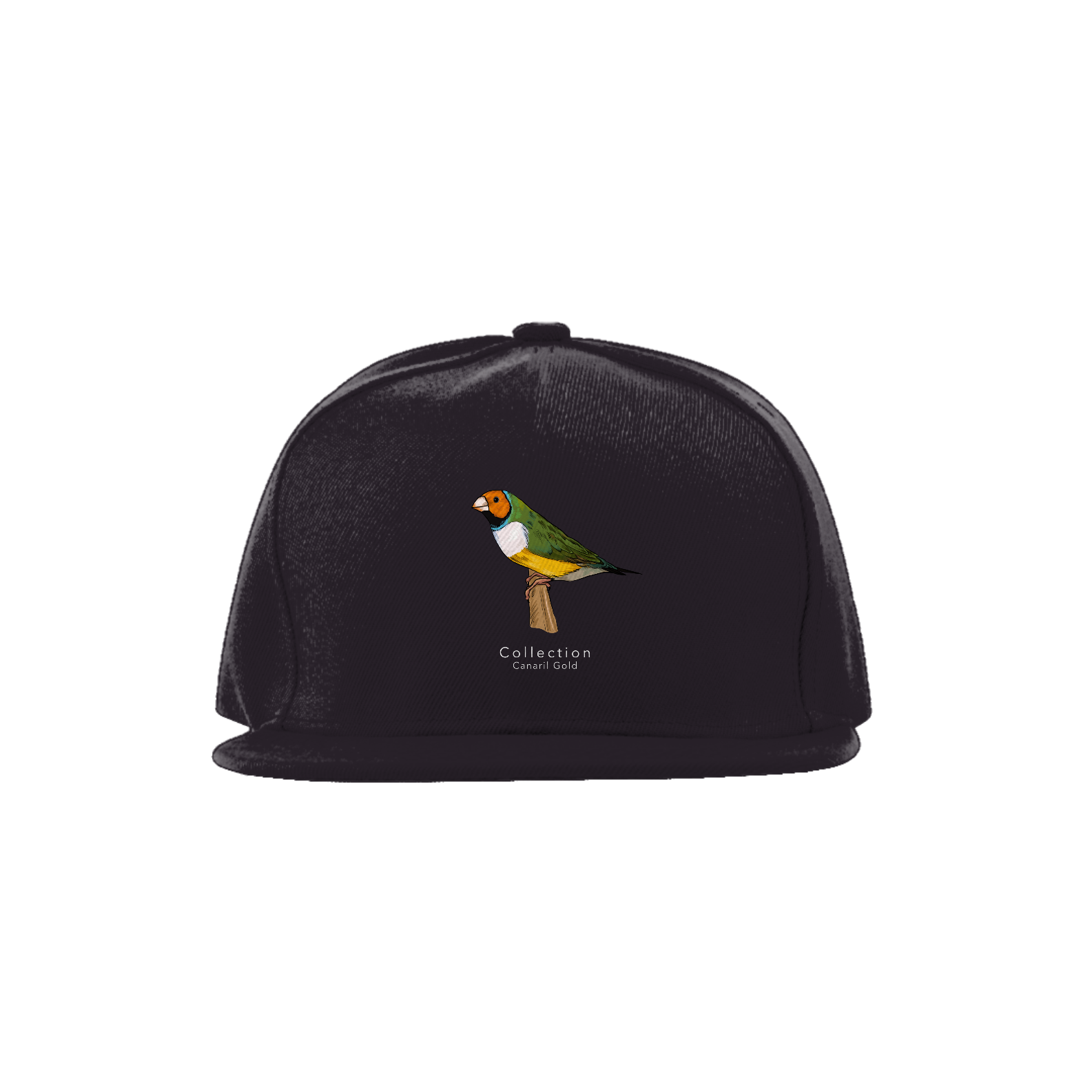 Boné Diamante Gould CL/PB 
