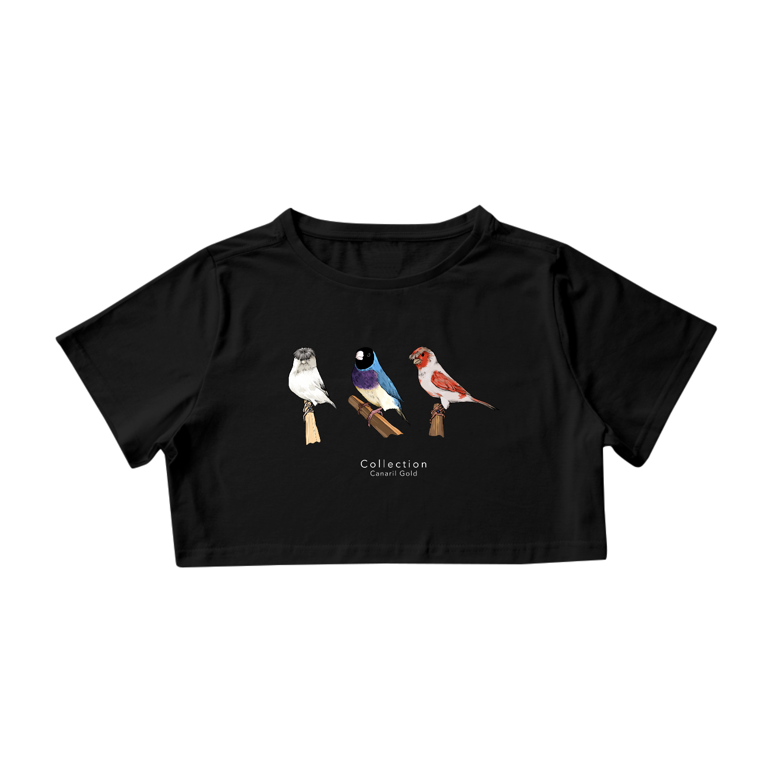 Cropped - Aves Diversas