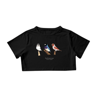 Cropped - Aves Diversas