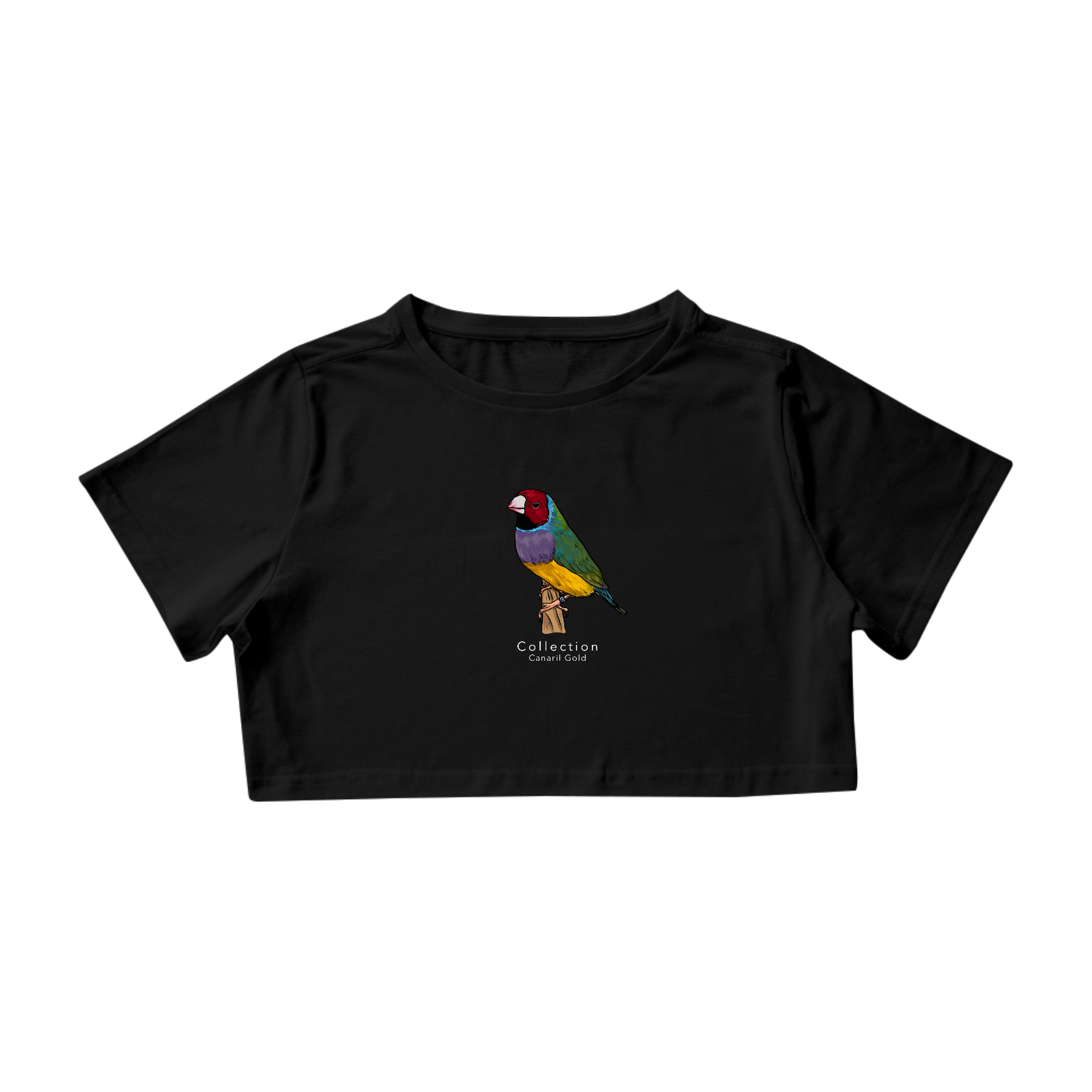 Cropped - Diamante Gould CV/PR